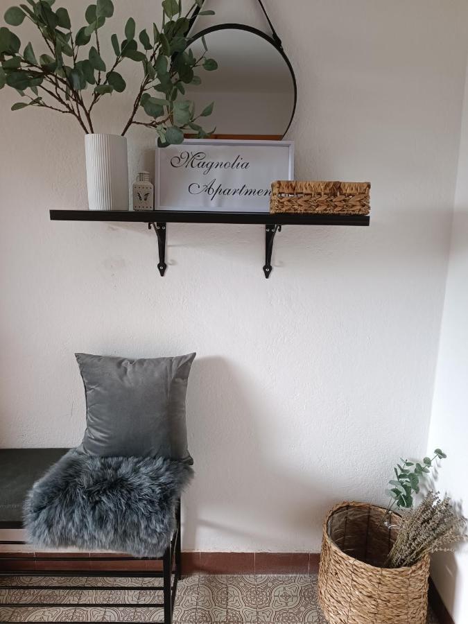 Magnolia Apartment - Free Private Parking Ljubljana Kültér fotó
